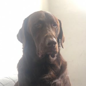 Meet your Posher, Christian